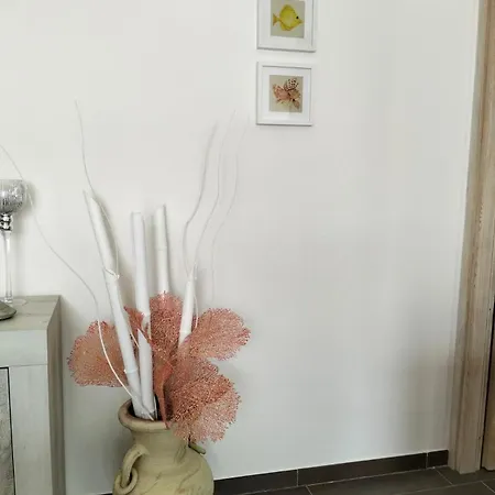 Il Gioiello A * Palau