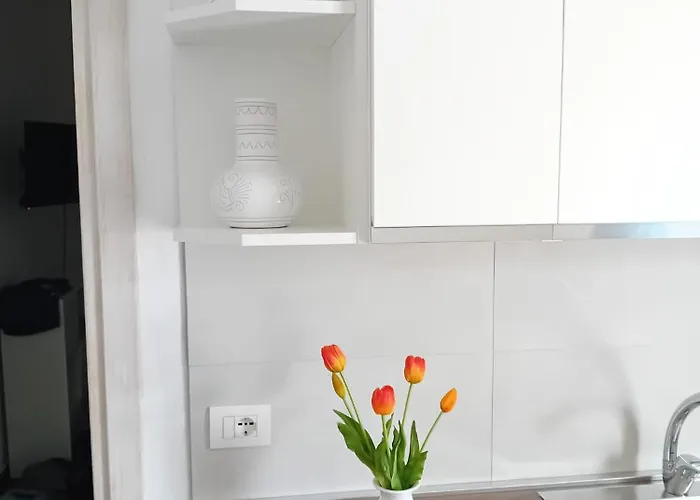 公寓 Il Gioiello A 帕劳