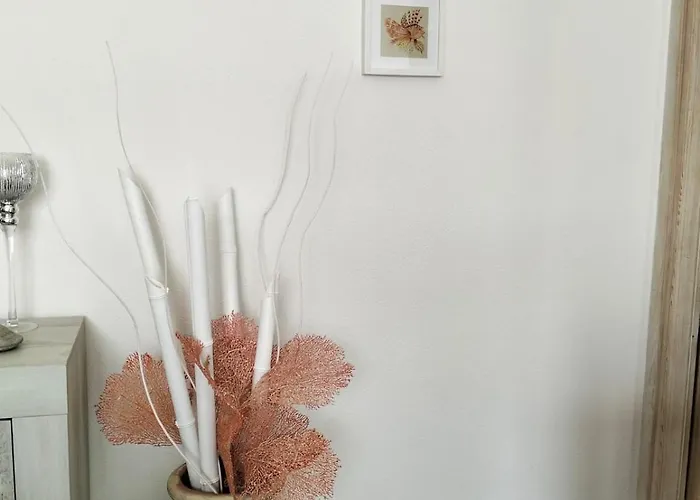 Il Gioiello A * 帕劳